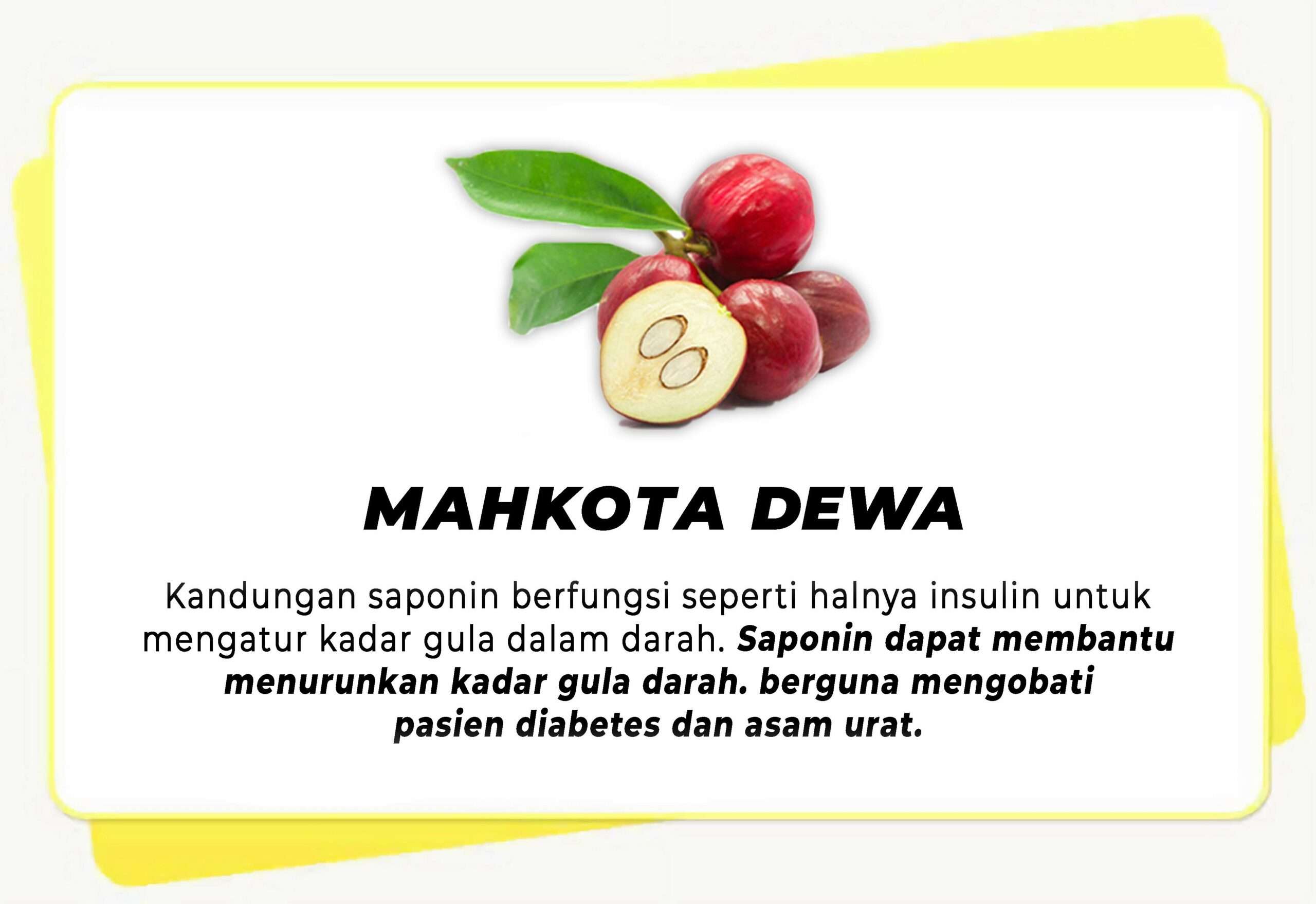 KHASIAT MAHKOTA DEWA