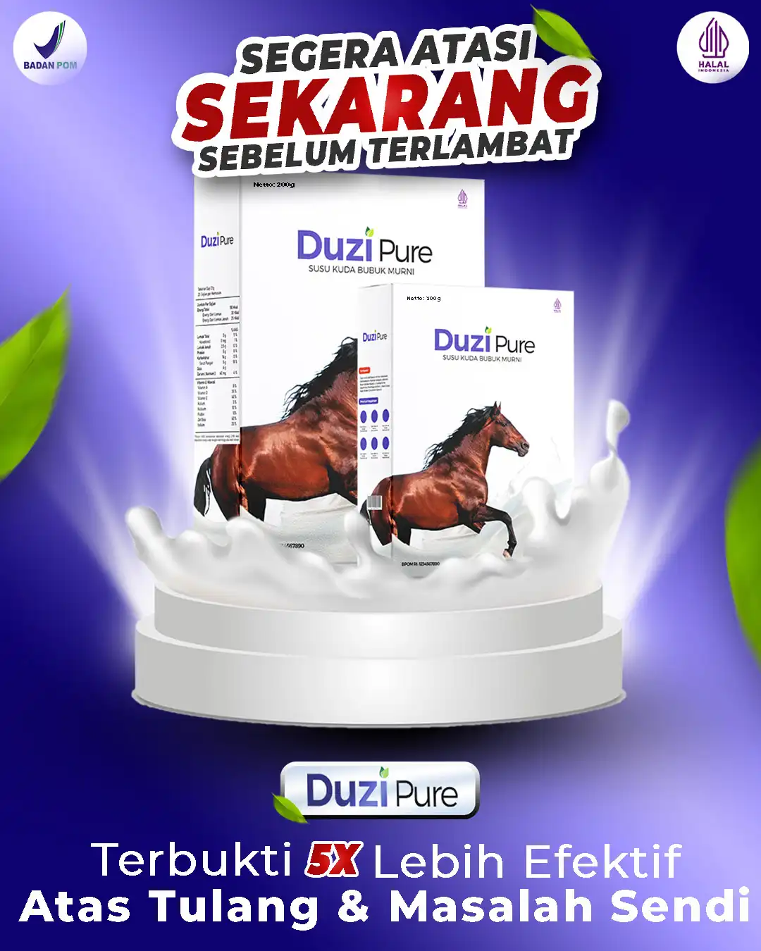 SEGERA ATASI-Recovered