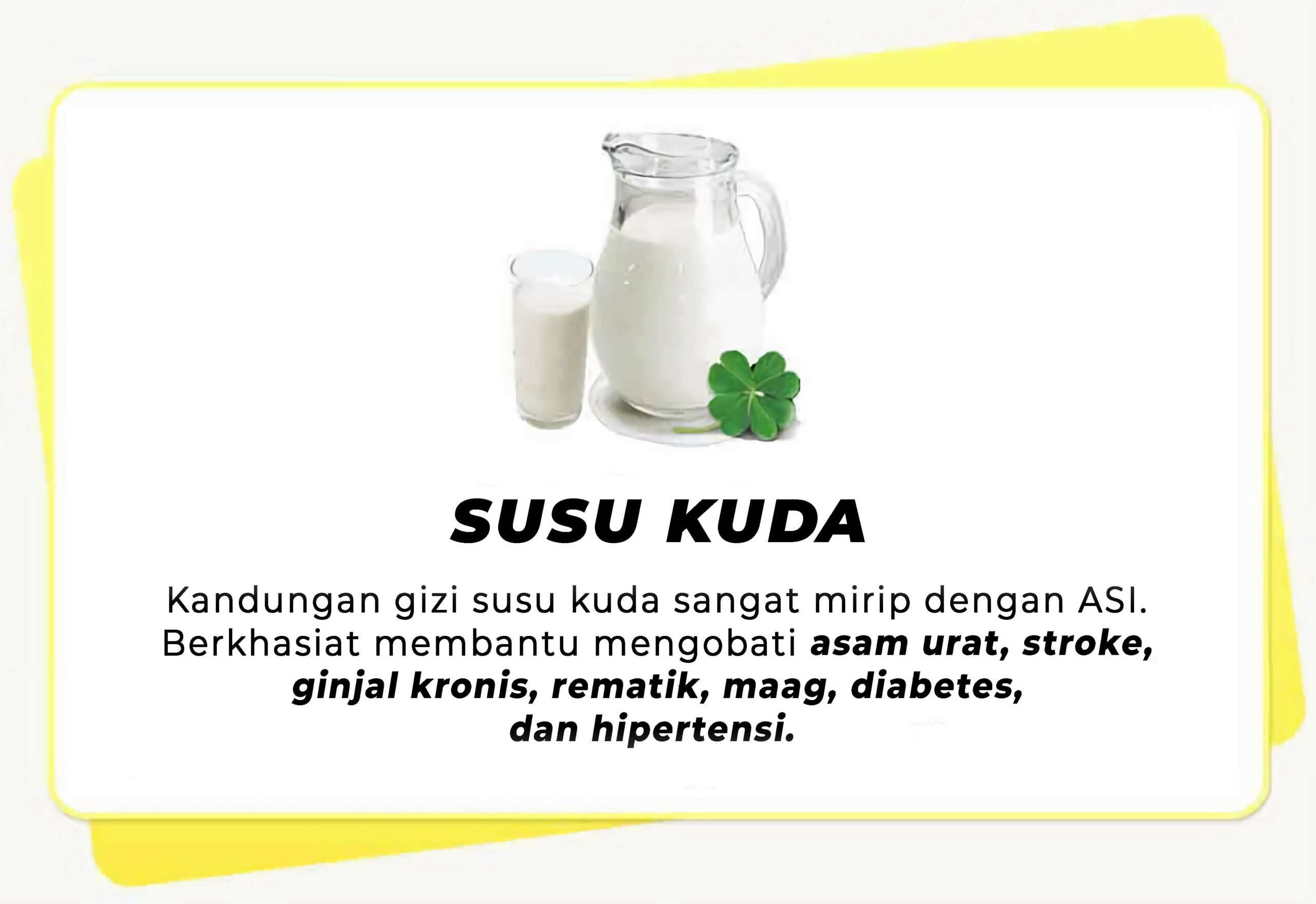 SUSU KUDA KHASIAT