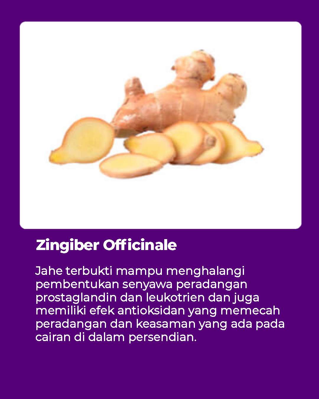 jahe