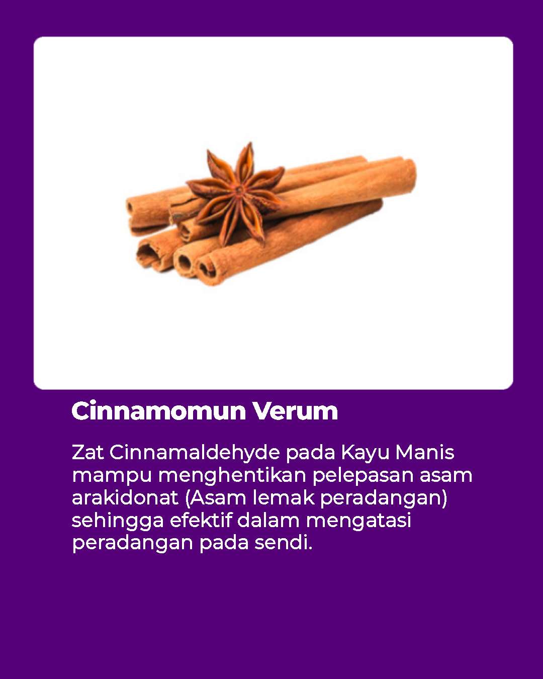 kayu manis