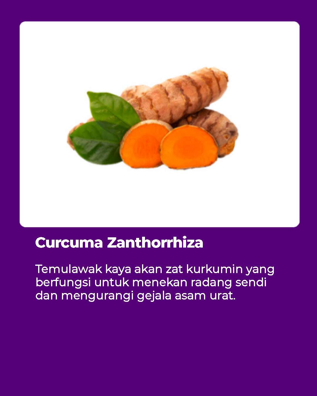 kunyit