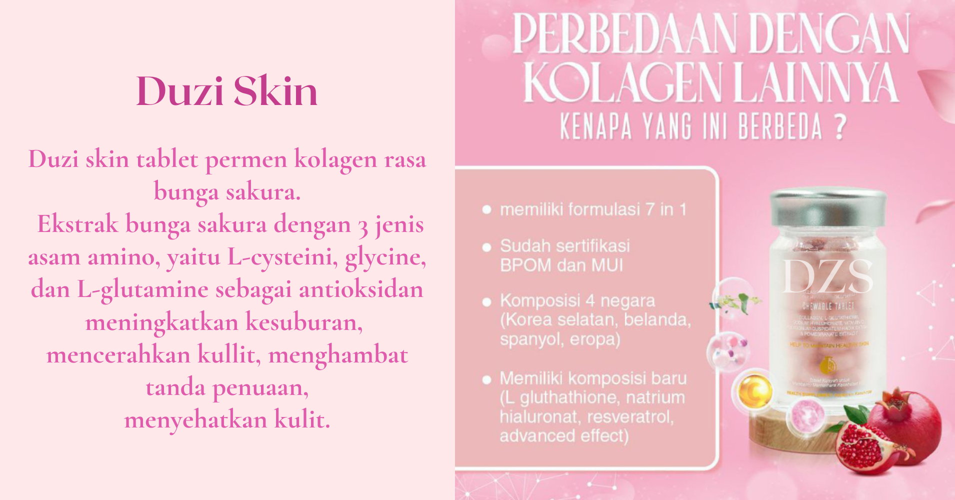 DISTRIBUTOR RESMI (1)