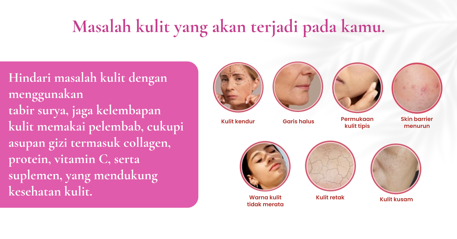 DISTRIBUTOR RESMI (3)