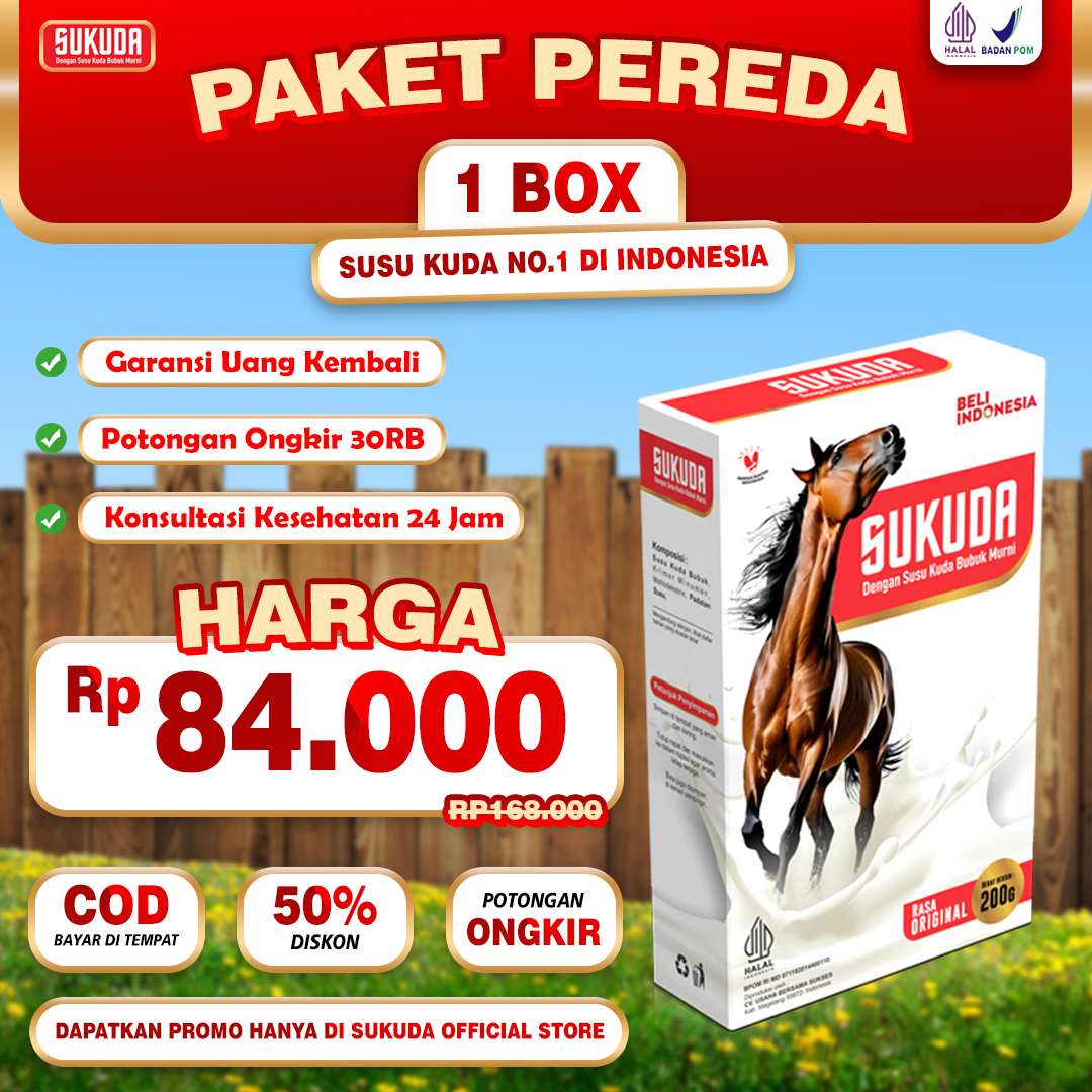 paket-1