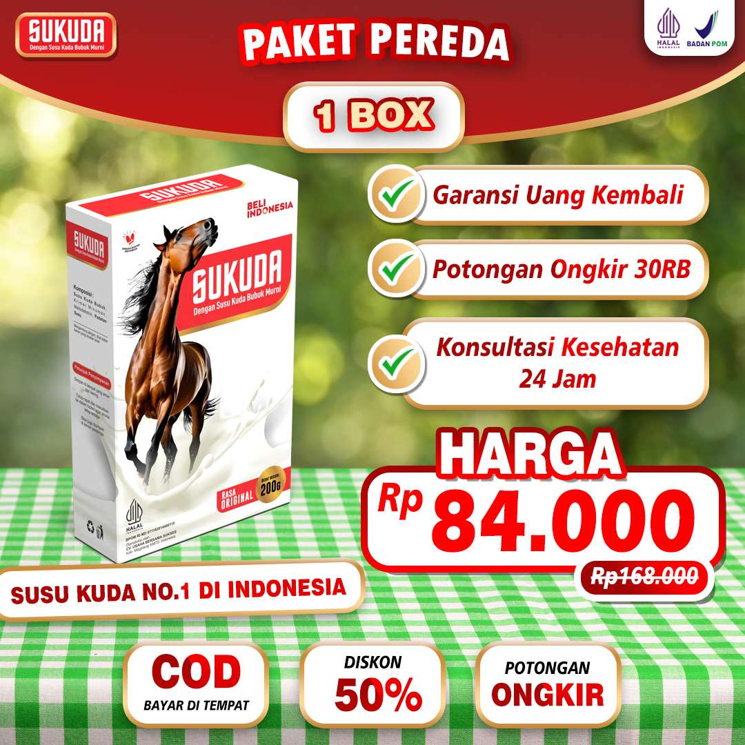 paket-1