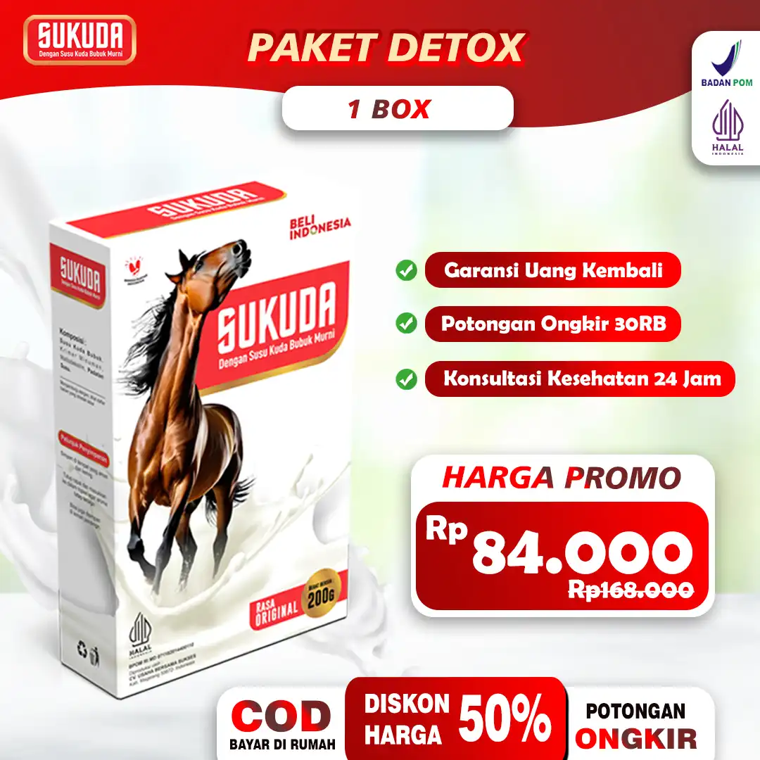 paket-1