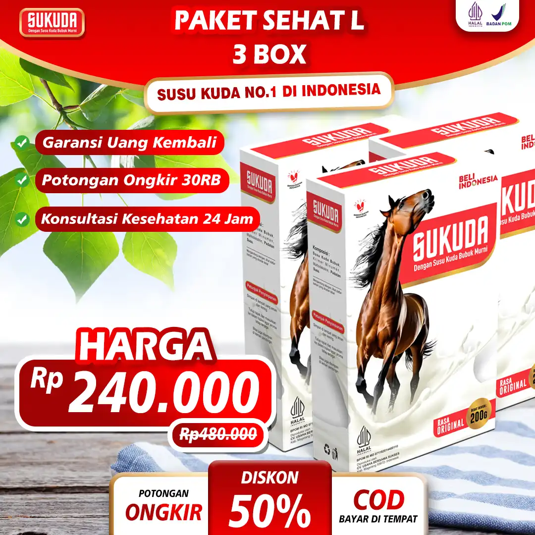 paket-3