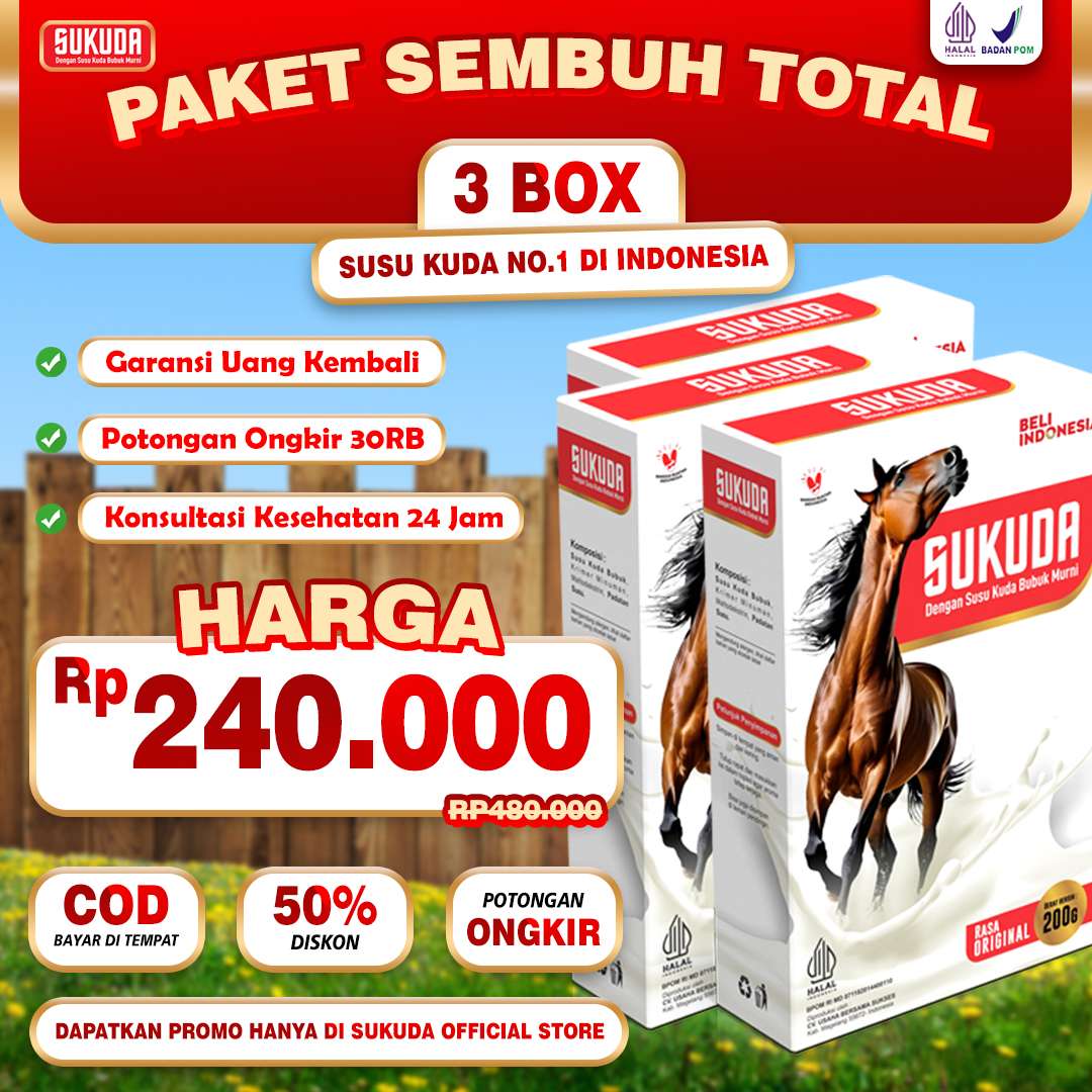 paket-3