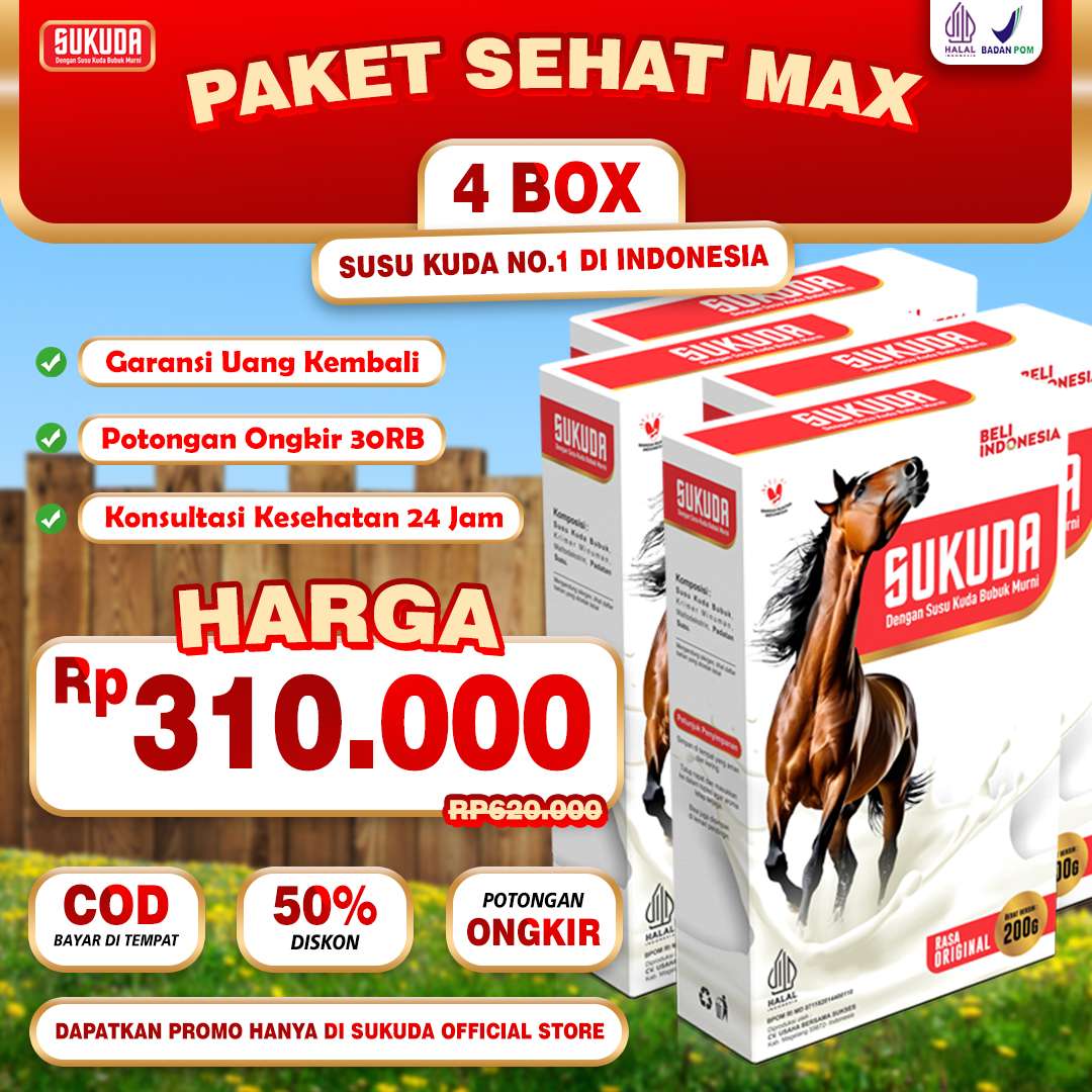 paket-4