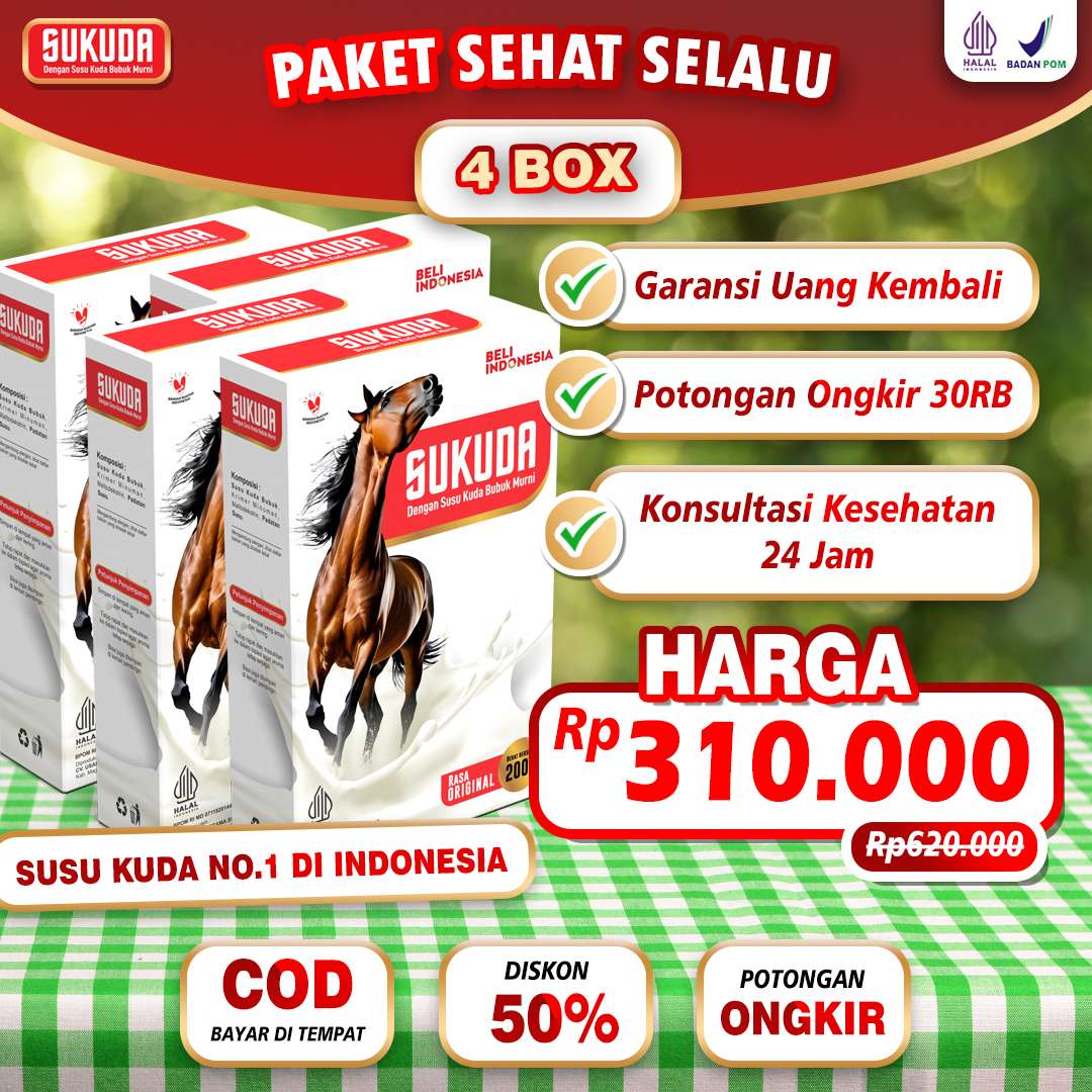 paket-4