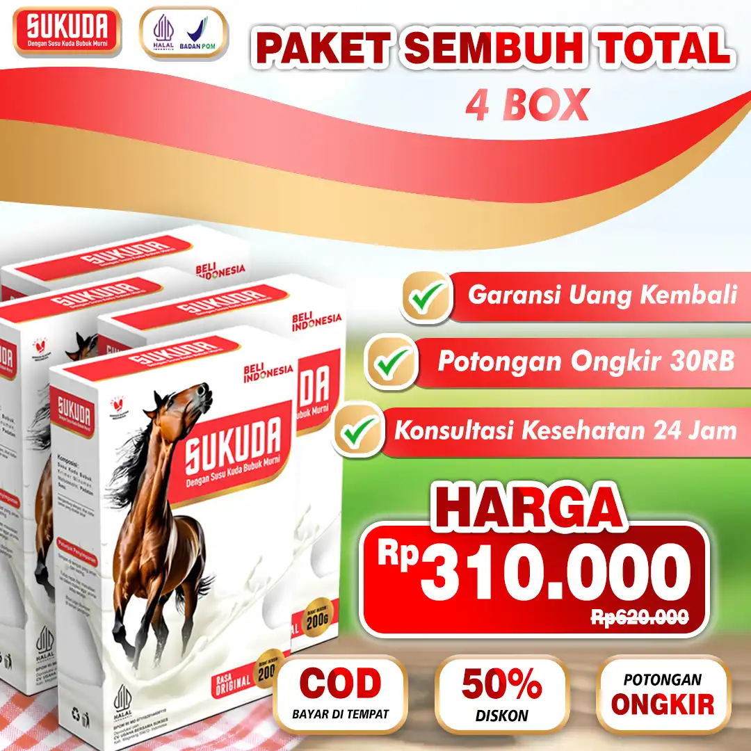 paket-4