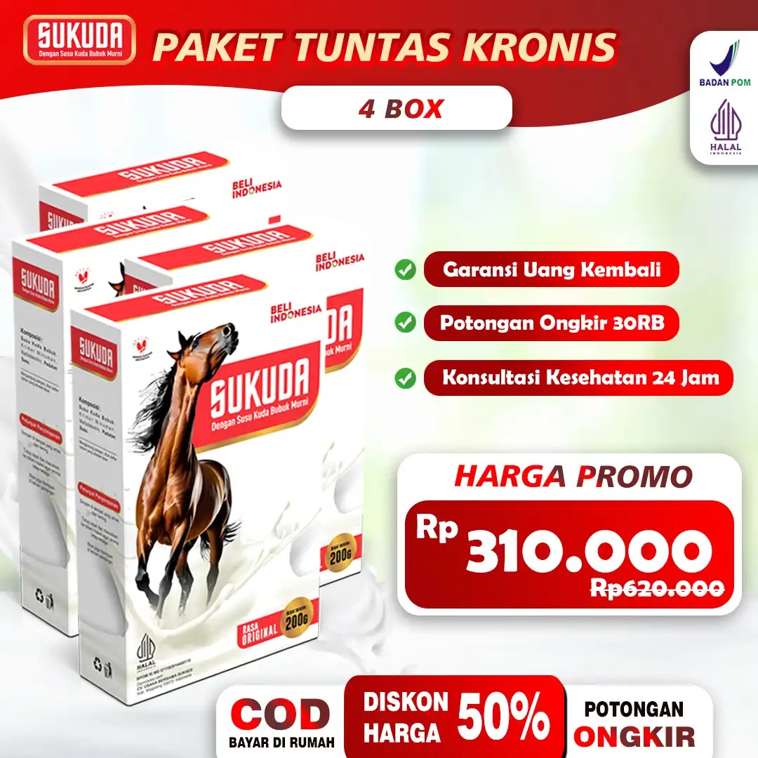 paket-4