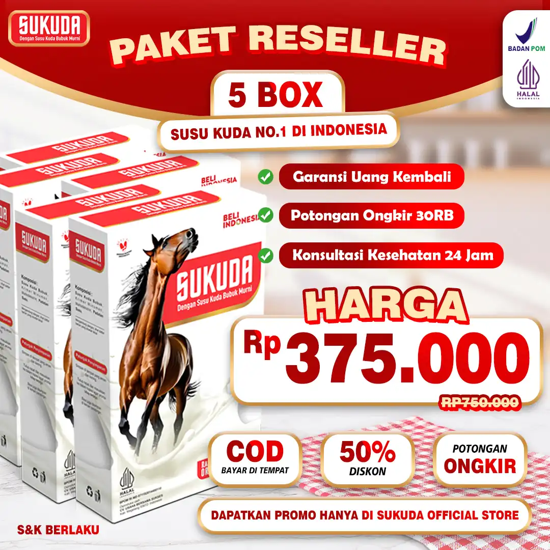 paket-5
