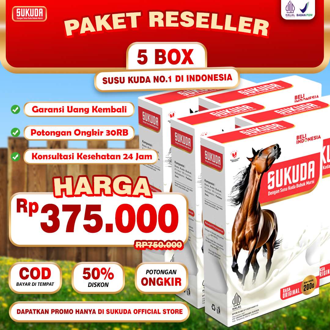 paket-5