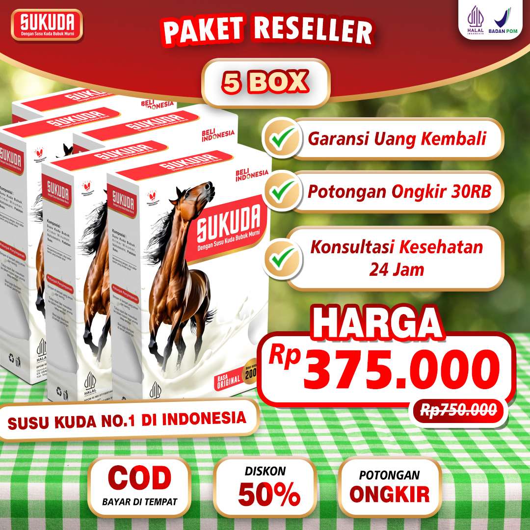 paket-5