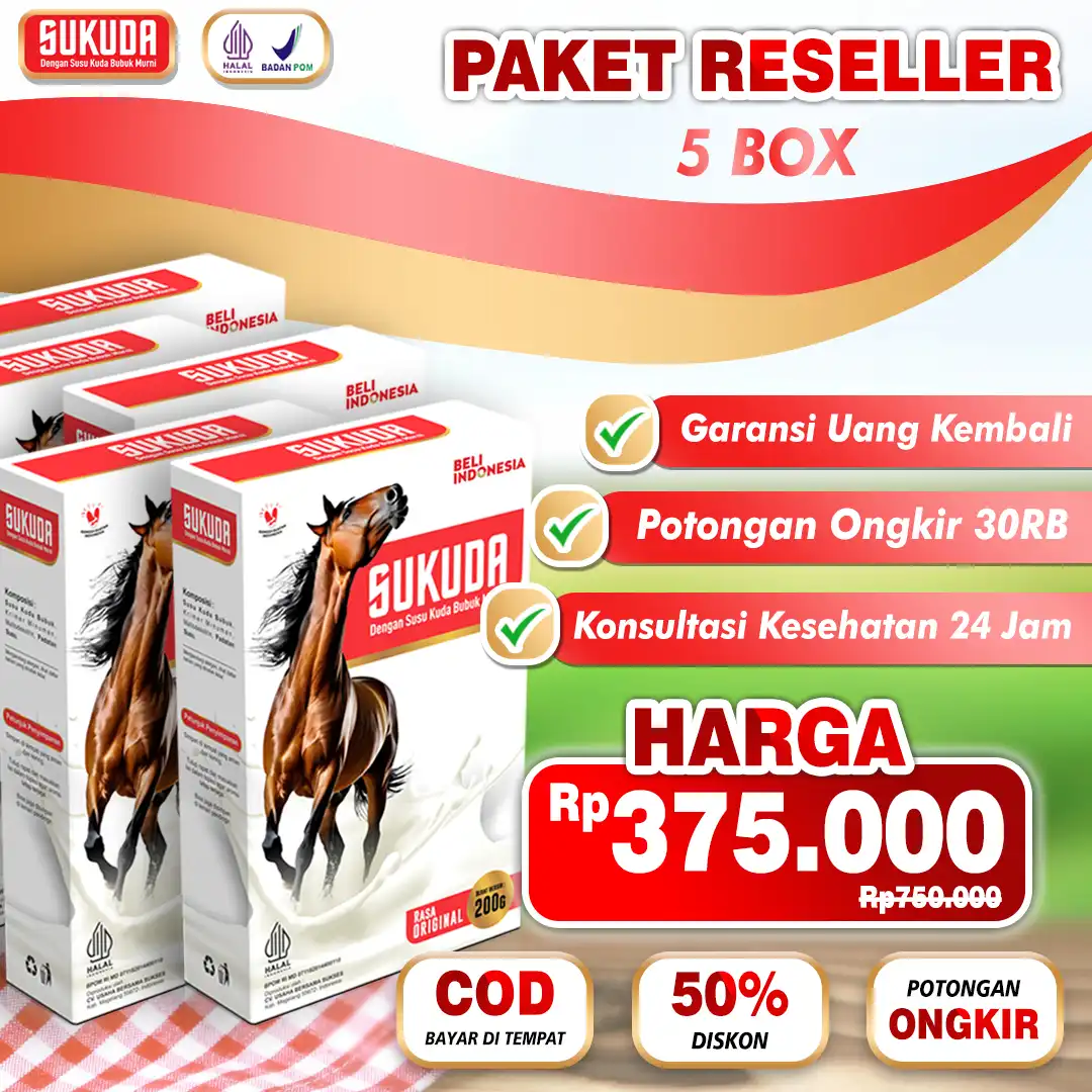 paket-5