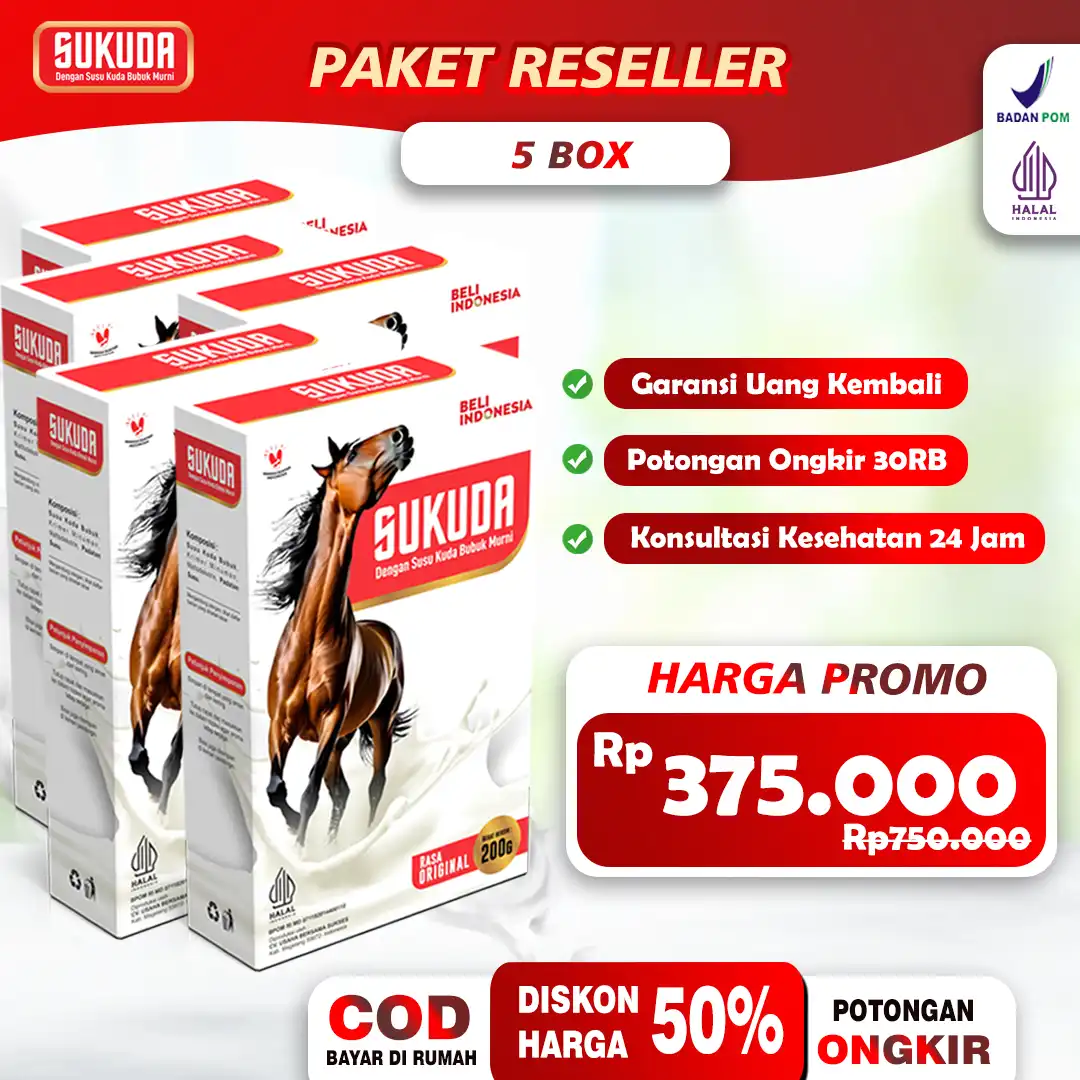 paket-5