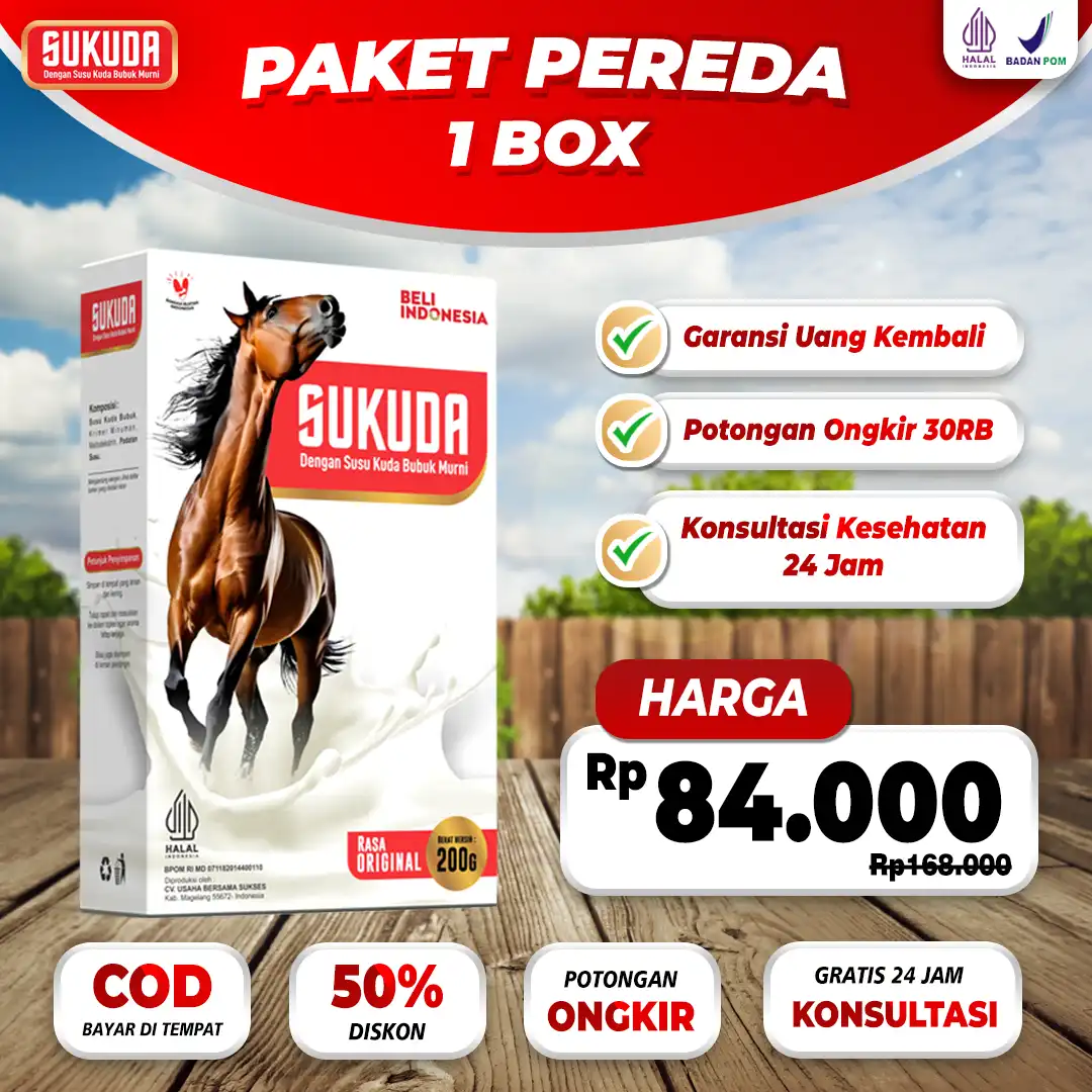 paket-1