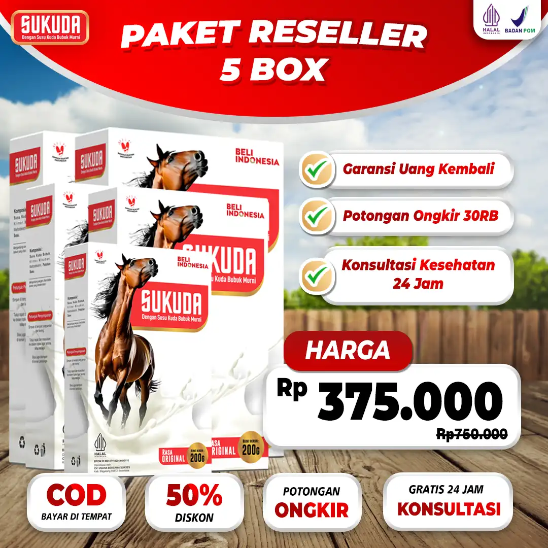 paket-5