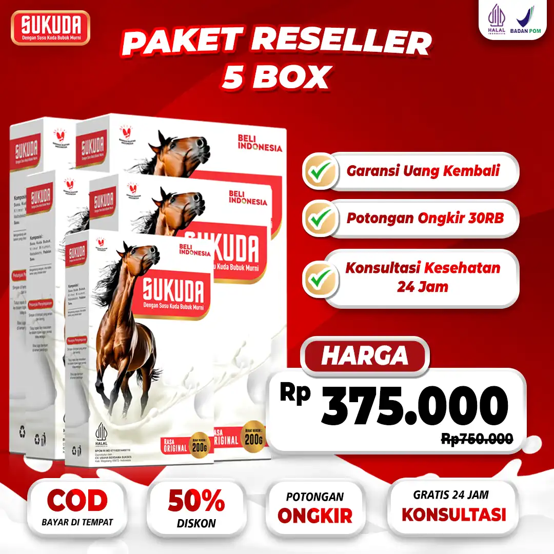 paket-5