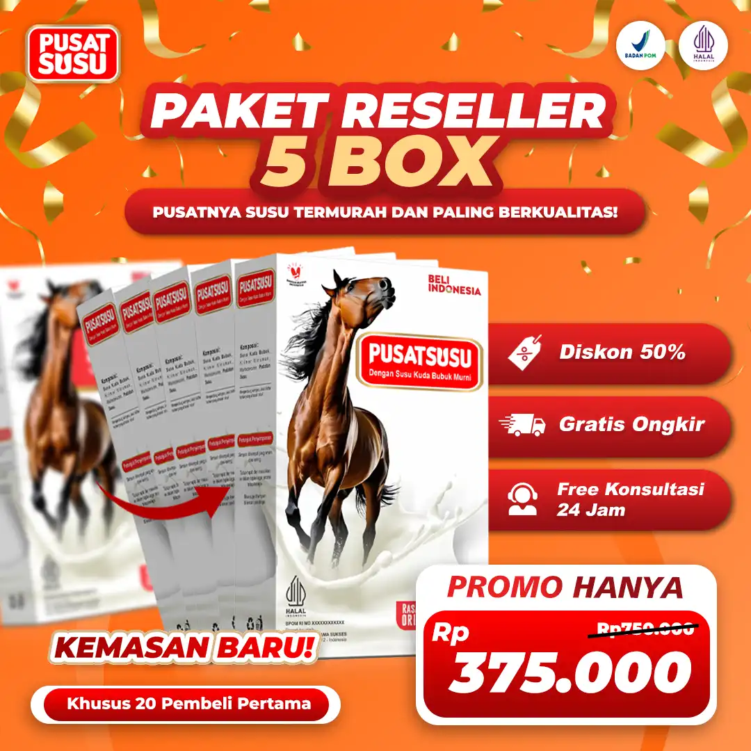 paket-5