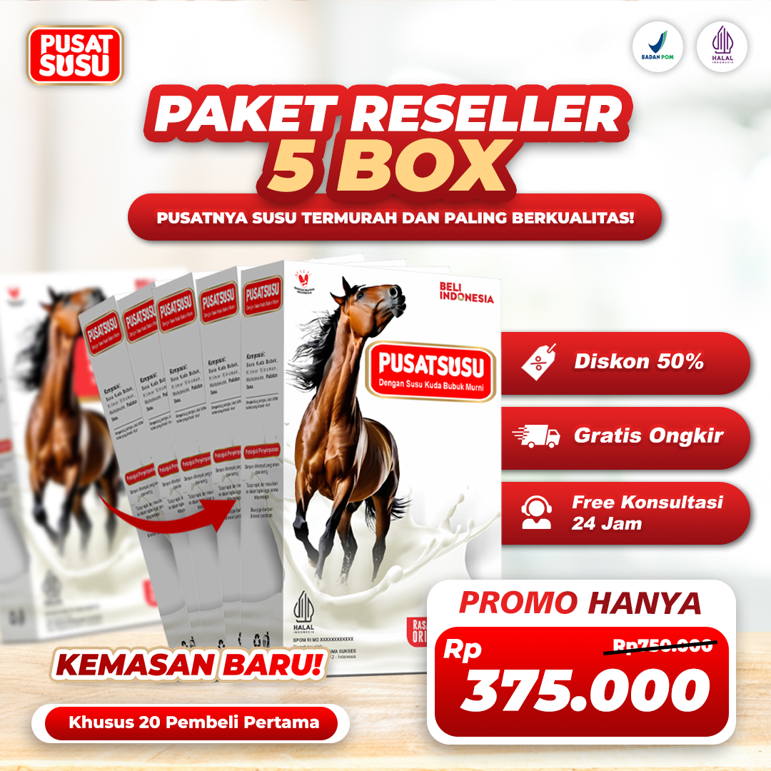 paket-5