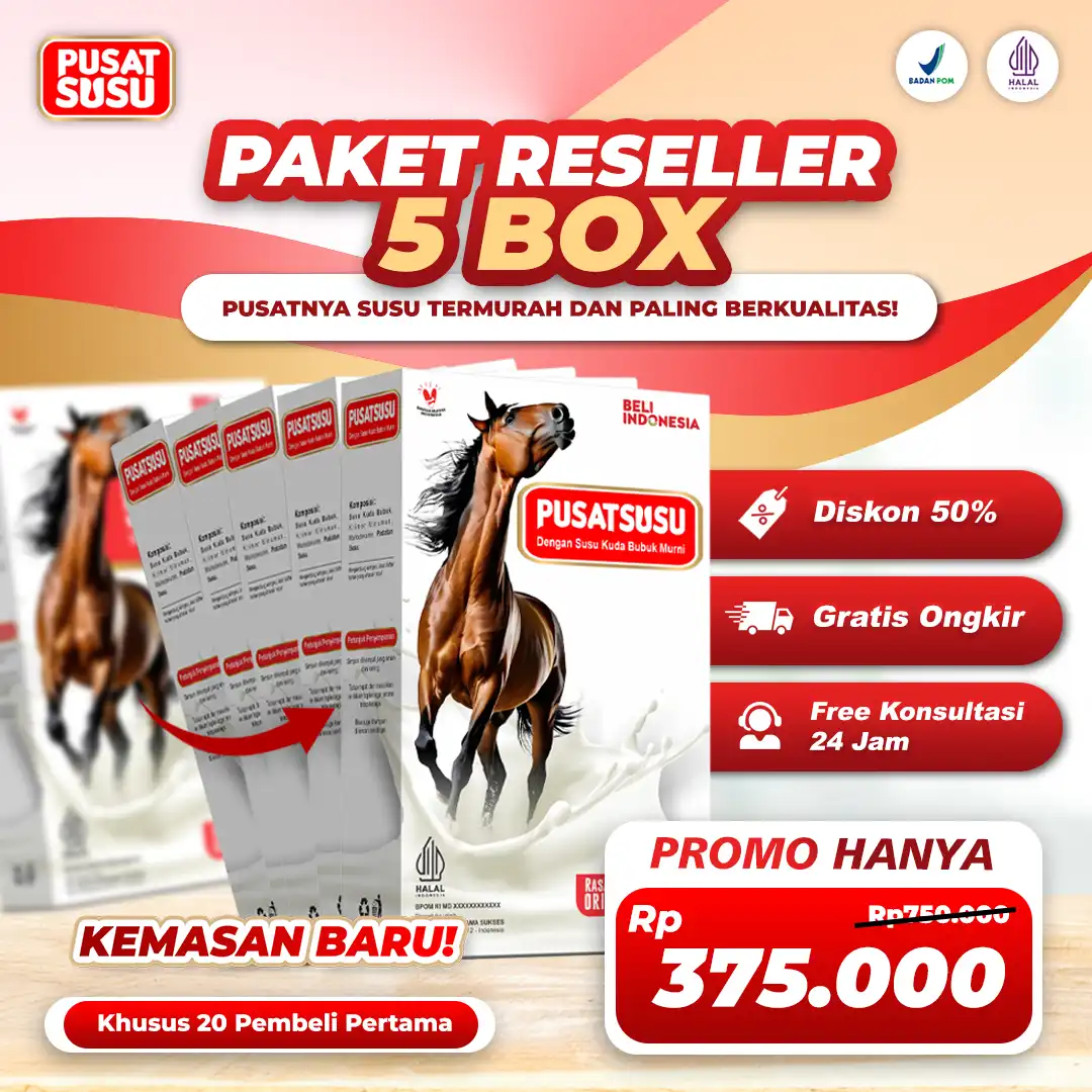 paket-5
