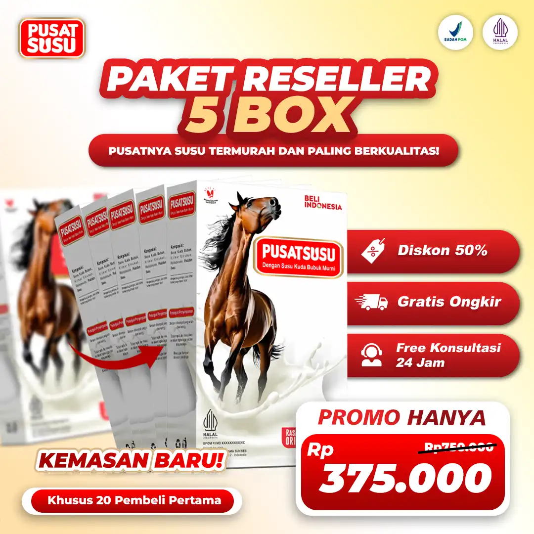 paket-5